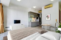 Lumiere (D2), Apartment #524480461